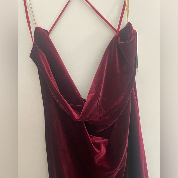 Jenny Yo Dark Berry Velvet Midi Dress - Picture 6 of 12